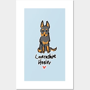 Lancashire Heeler Posters and Art